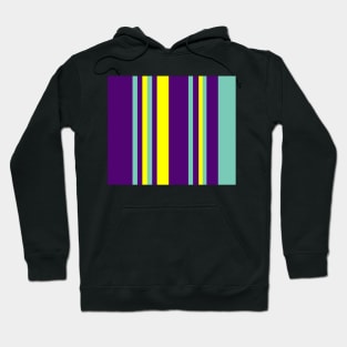 Luminous Seamless Stripes Hoodie